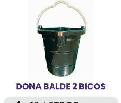 DONA BALDE 2 BICOS